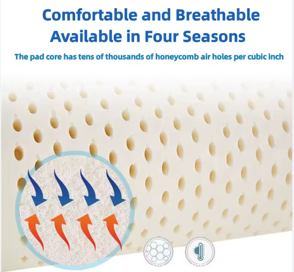 Caspvera™ 4-Layer Japanese Style Mattress